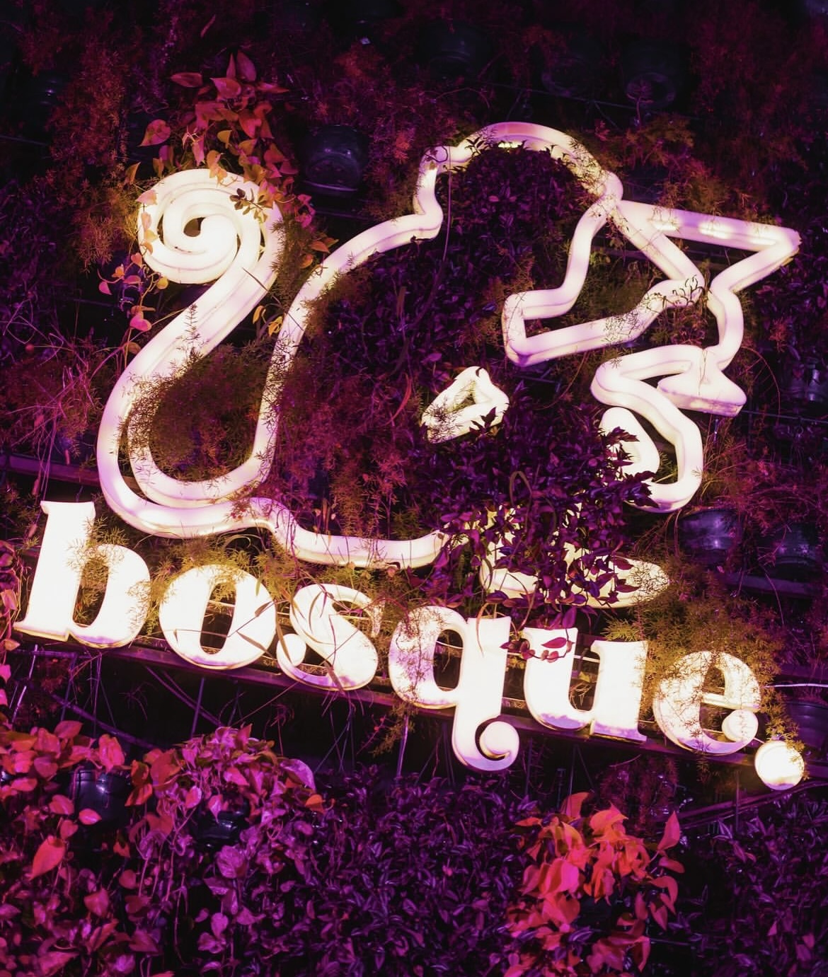 B2Bosque - Bosque Bar